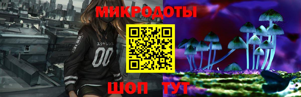 Псилоцибиновые грибы Cubensis Юрга